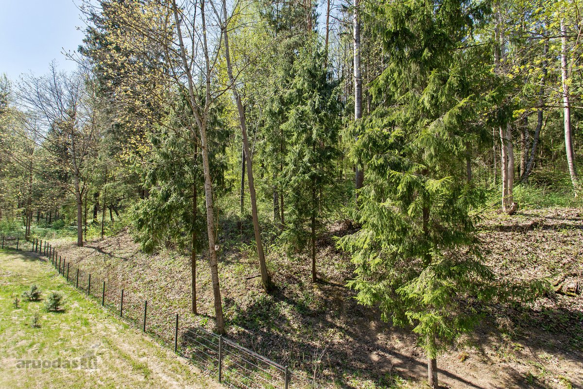 Parduodamas 3 Kambarių Butas Apsuptas Miško, - nuotraukos Nr. 6