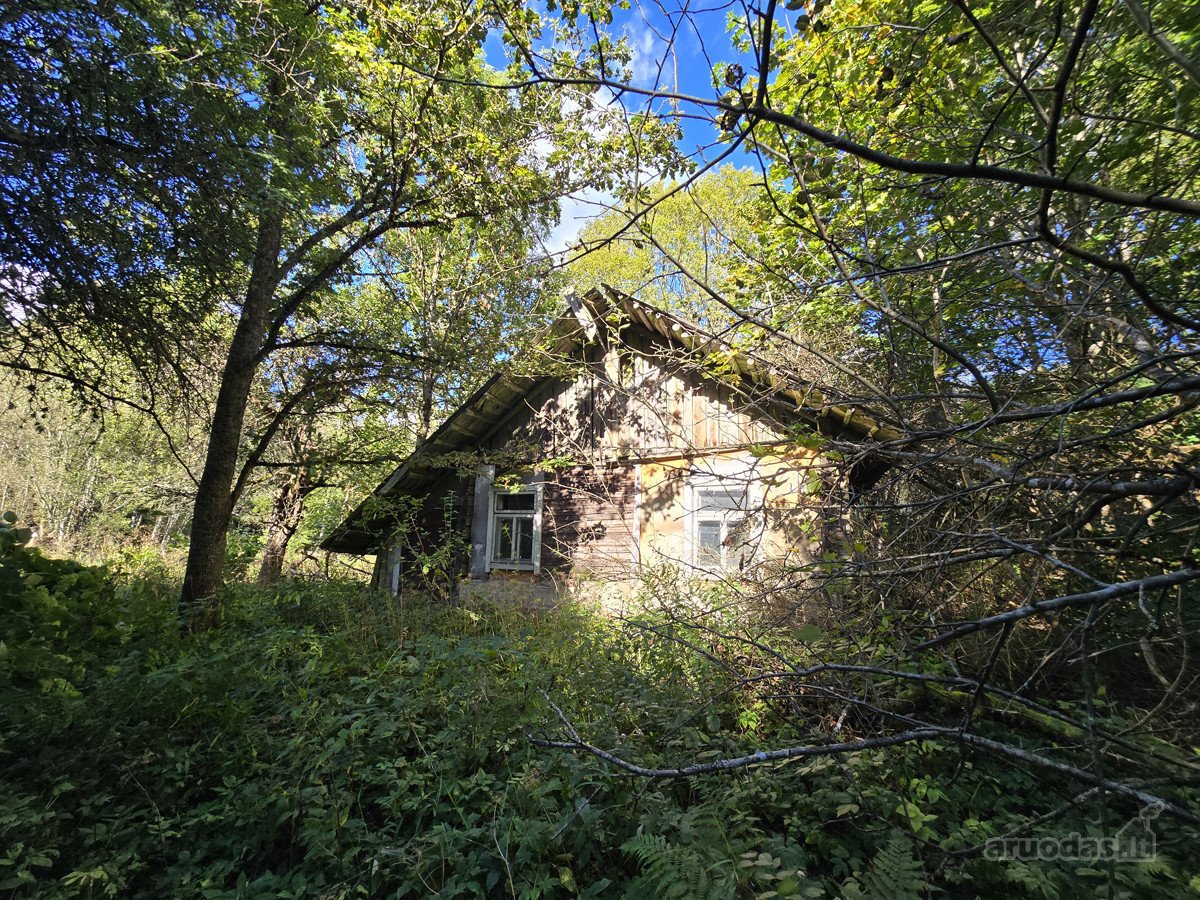 Norintiems Įsikurti Laukinėje Gamtoje