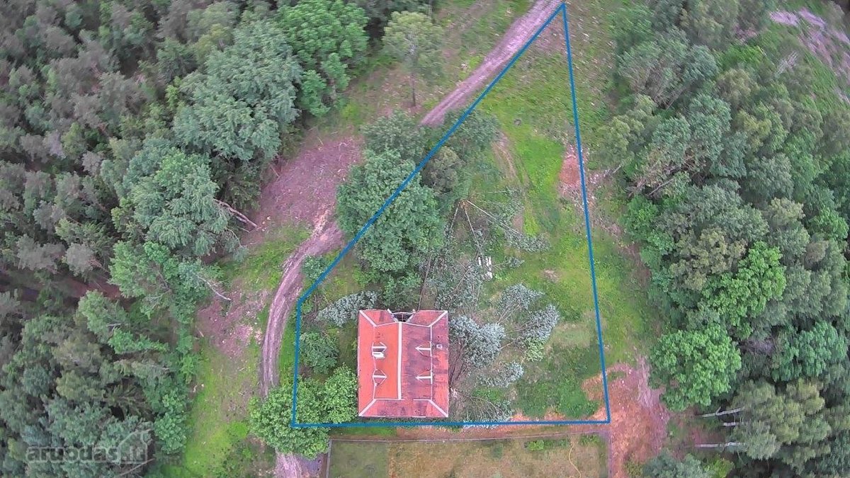 Ko gero geriausias sklypas Avižieniuose. - nuotraukos Nr. 3