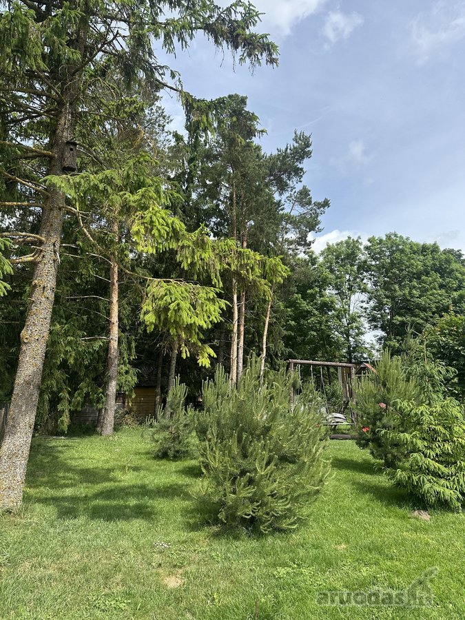 Parduodamas A++ vieno aukšto 141 kv.m. - nuotraukos Nr. 7