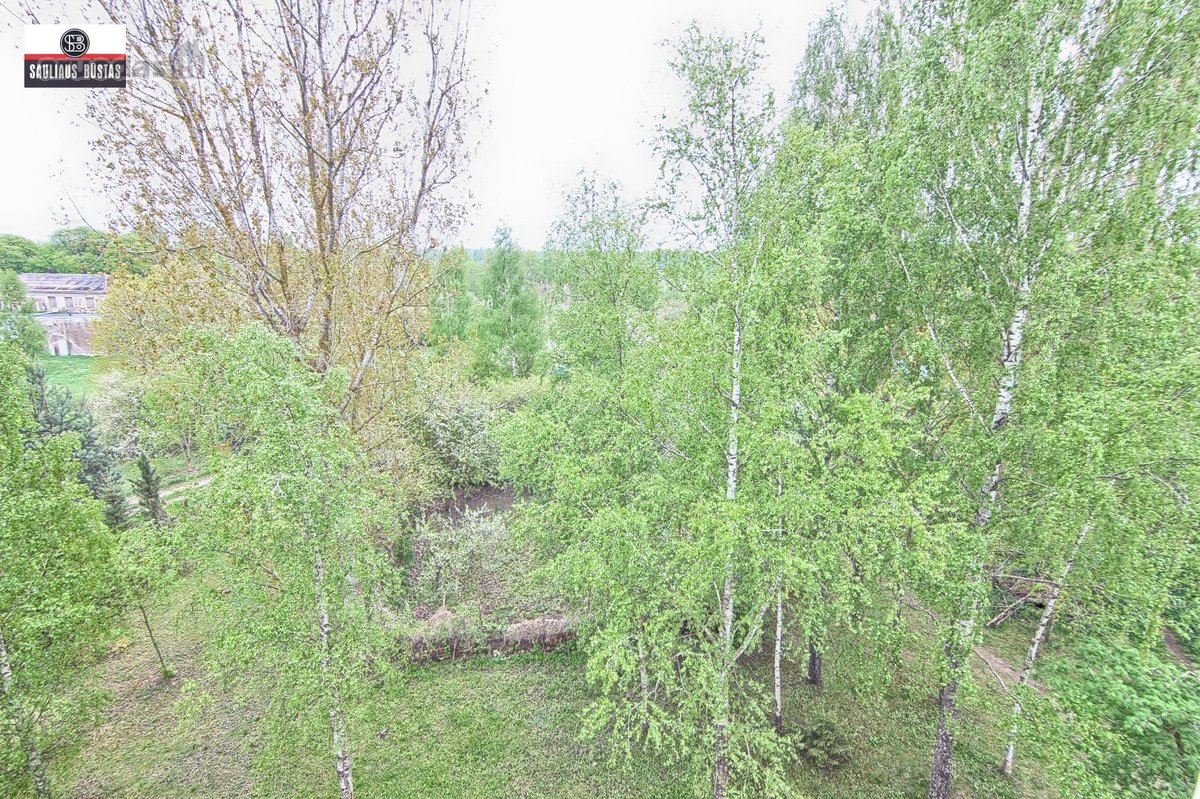 Parduodamas labai pigiai tvarkingas 3-jų - nuotraukos Nr. 25