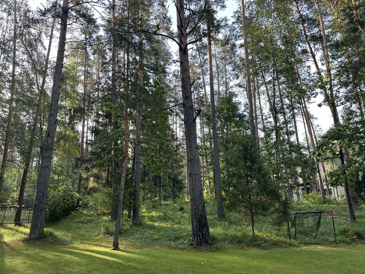 Namų valdos sklypas (parengtas detalusis - nuotraukos Nr. 10