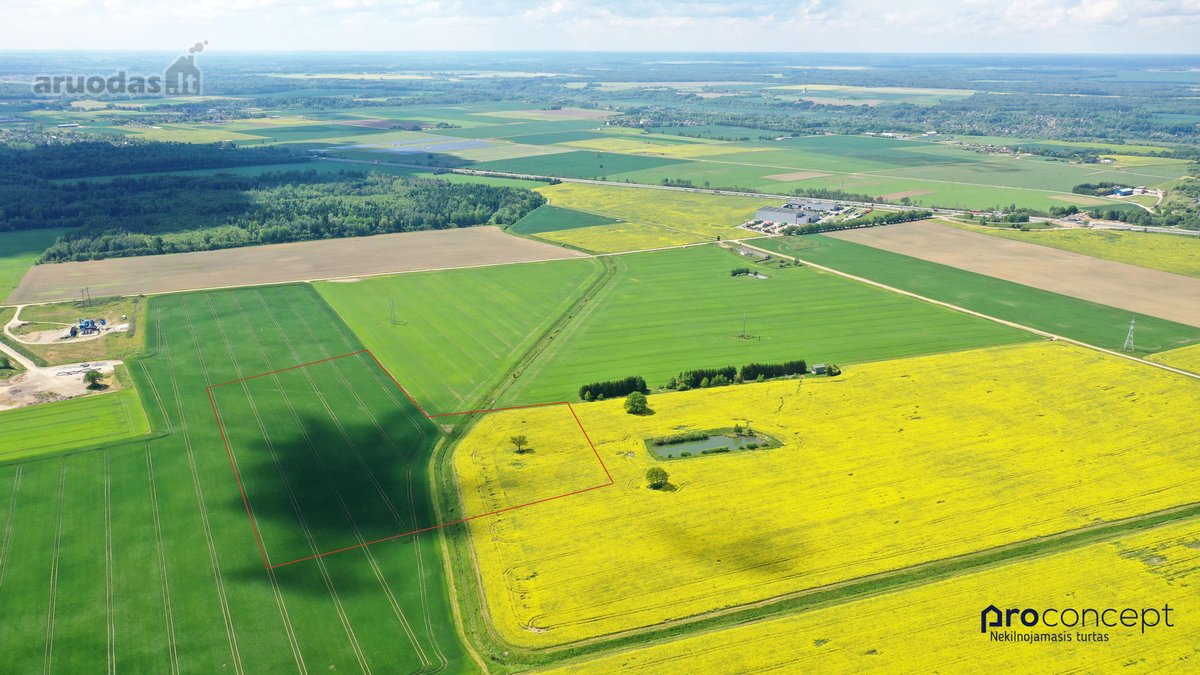 Išskirtinė investicinė galimybė verslo - nuotraukos Nr. 2