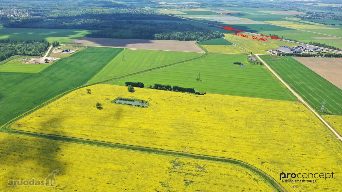 Išskirtinė investicinė galimybė verslo - nuotraukos Nr. 3