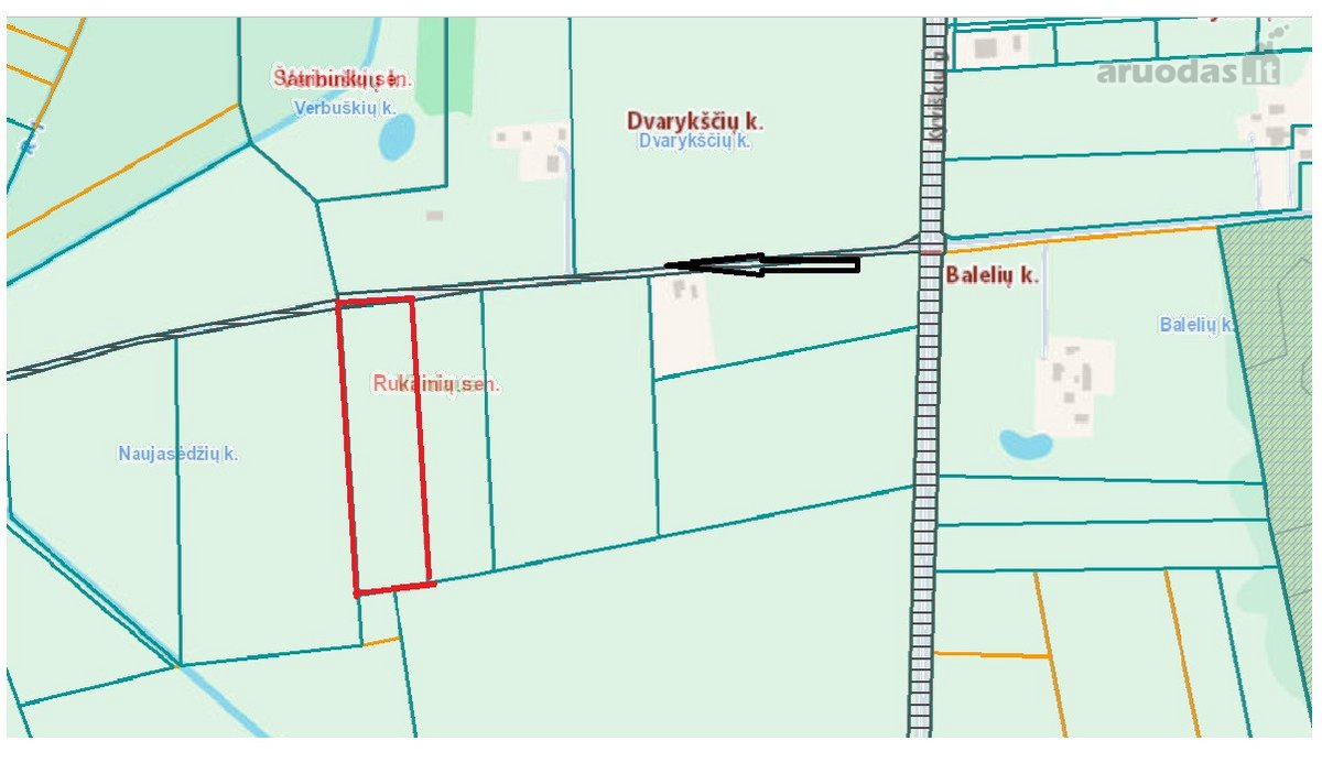 Parduodamas 1,28 ha sklypas Naujasėdžių k. - nuotraukos Nr. 3