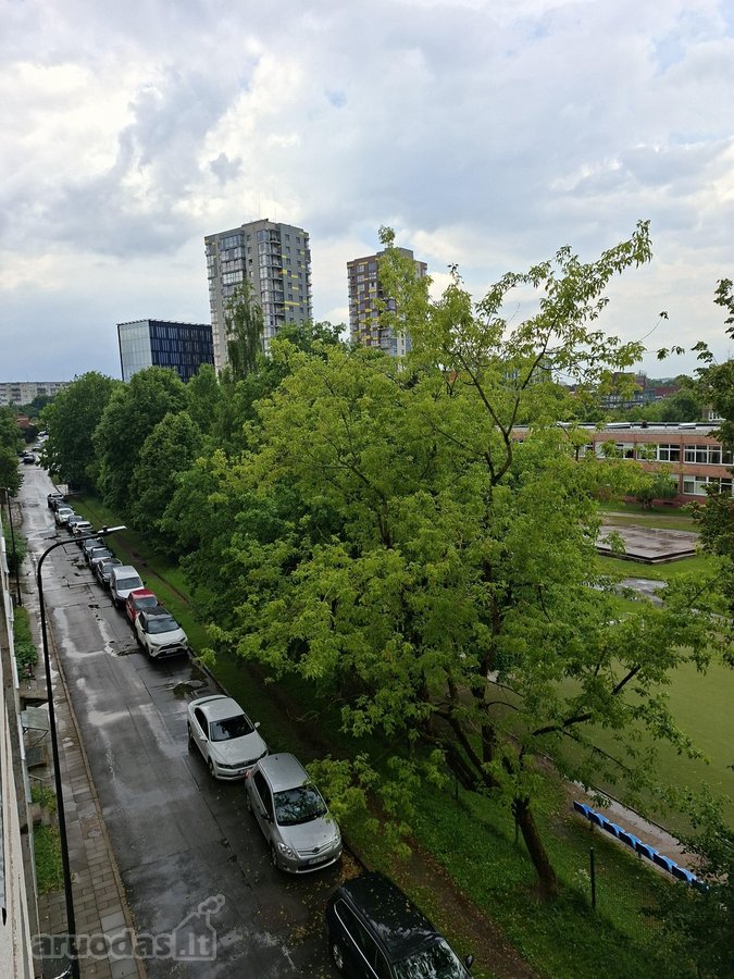Parduodamas tvarkingas, prižiūrėtas, - nuotraukos Nr. 36