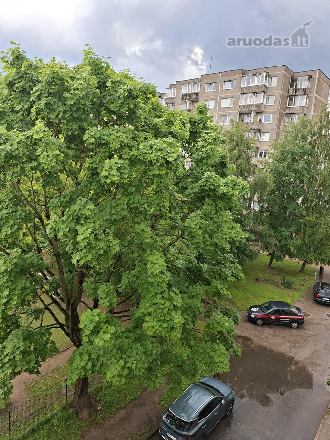 Parduodamas tvarkingas, prižiūrėtas, - nuotraukos Nr. 35
