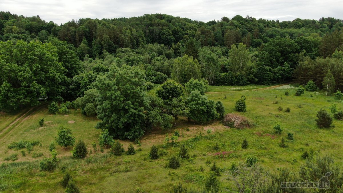 Parduodami pastato griuvėsiai su registruotu - nuotraukos Nr. 5