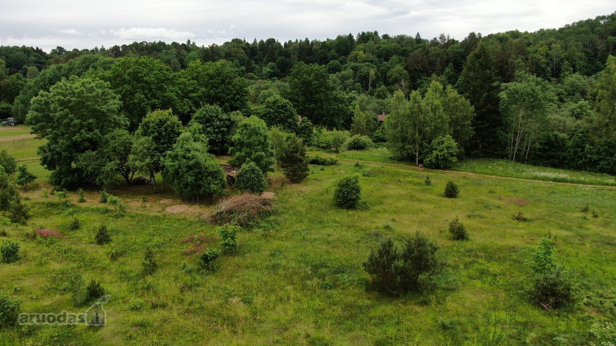 Parduodami pastato griuvėsiai su registruotu - nuotraukos Nr. 9