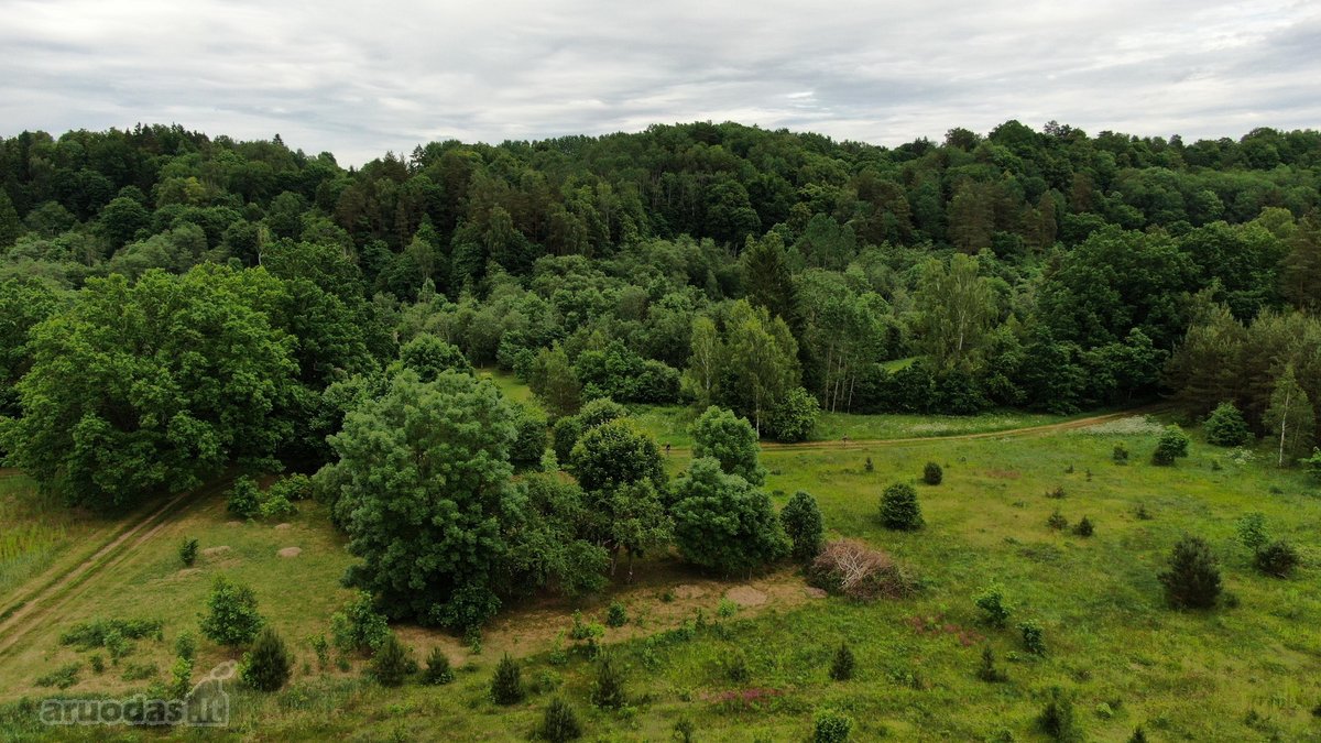 Parduodami pastato griuvėsiai su registruotu - nuotraukos Nr. 10