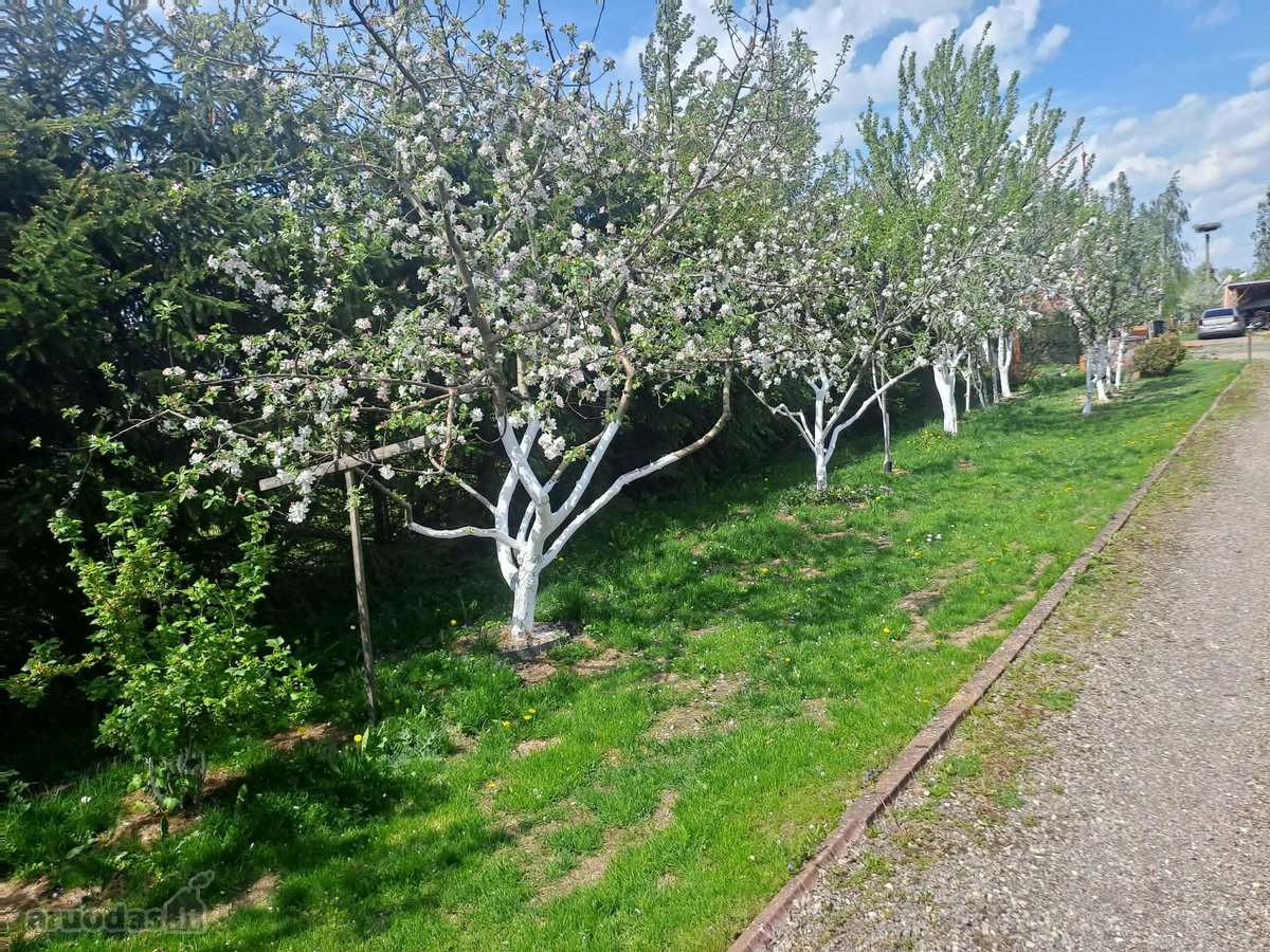 Parduodami Marijampoles miesto ribose du - nuotraukos Nr. 14