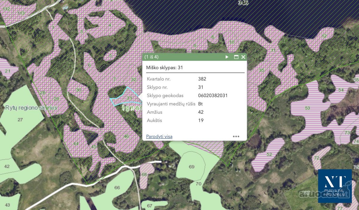 Parduodamas 13.50 ha žemės ūkio paskirties - nuotraukos Nr. 25