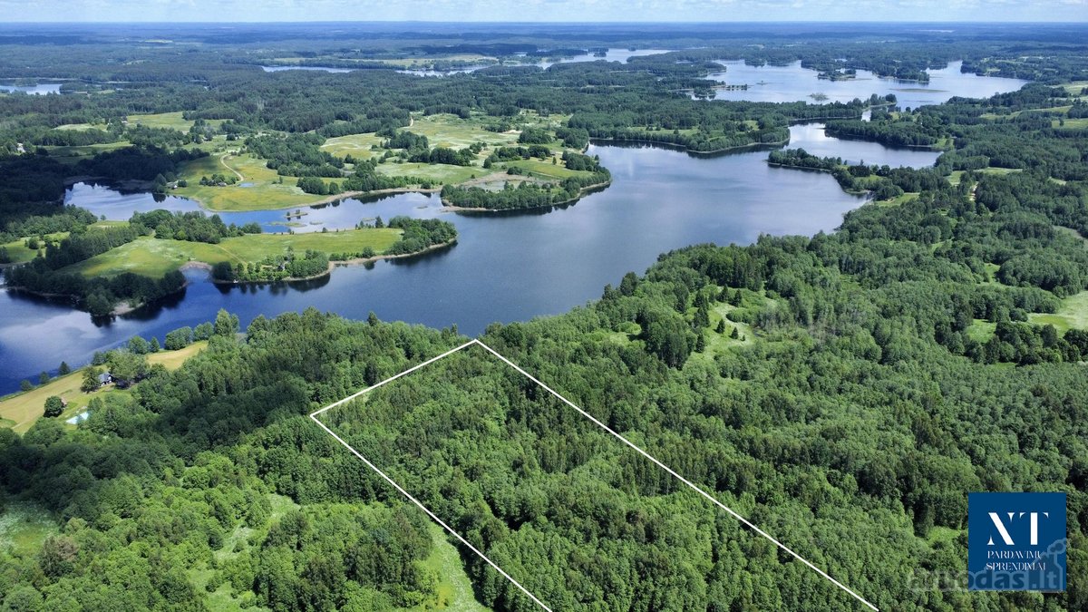 Parduodamas 13.50 ha žemės ūkio paskirties - nuotraukos Nr. 3