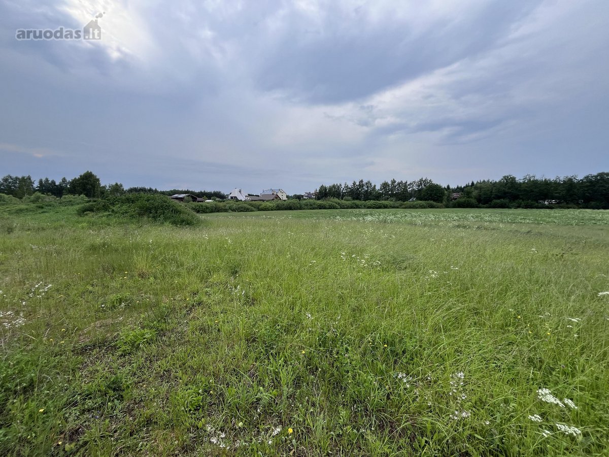 Parduodami du gretimi žemės sklypai miesto - nuotraukos Nr. 2