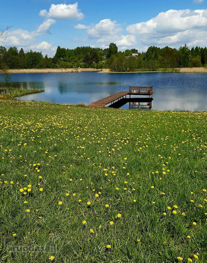 Parduodamas Sklypas Molėtų Rajone Prie - nuotraukos Nr. 2