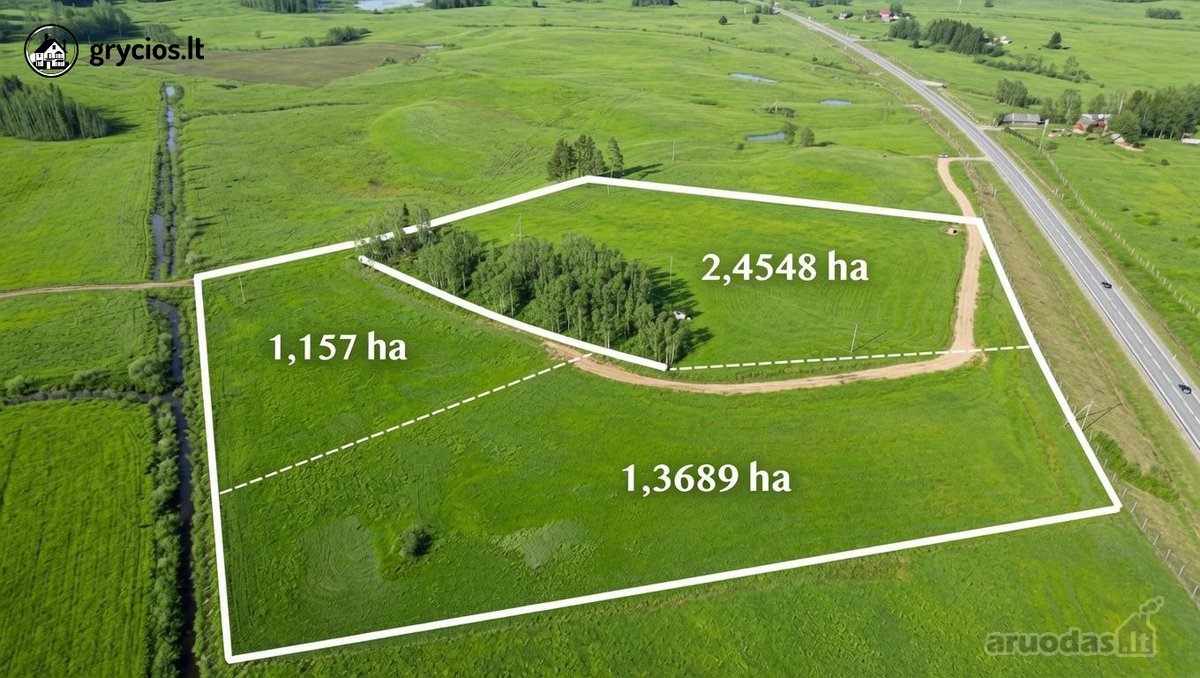 Molėtų rajone, Mažeikių kaime, šalia kelio - nuotraukos Nr. 5