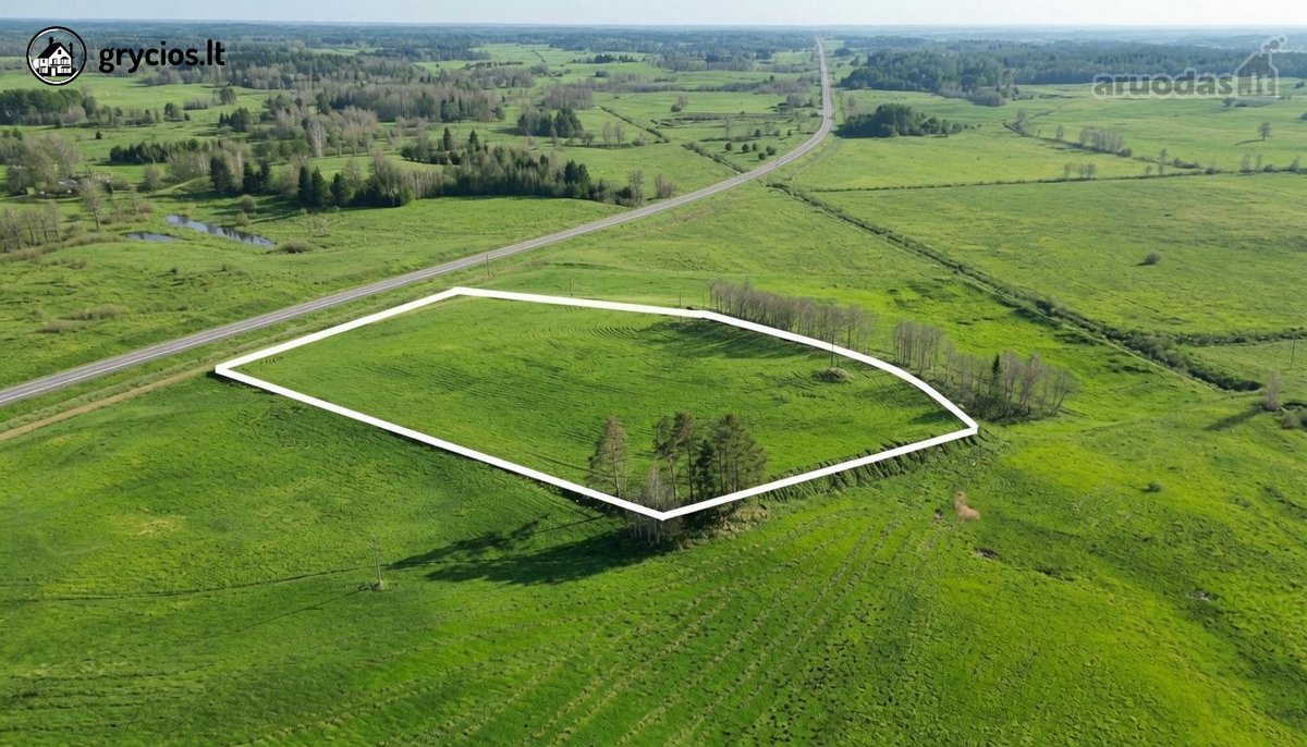 Molėtų rajone, Mažeikių kaime, šalia kelio
