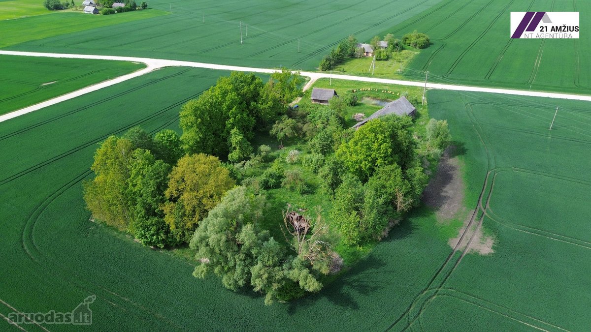Sodyba su dideliu 0,92 ha sklypu Pasvalio r. - nuotraukos Nr. 2