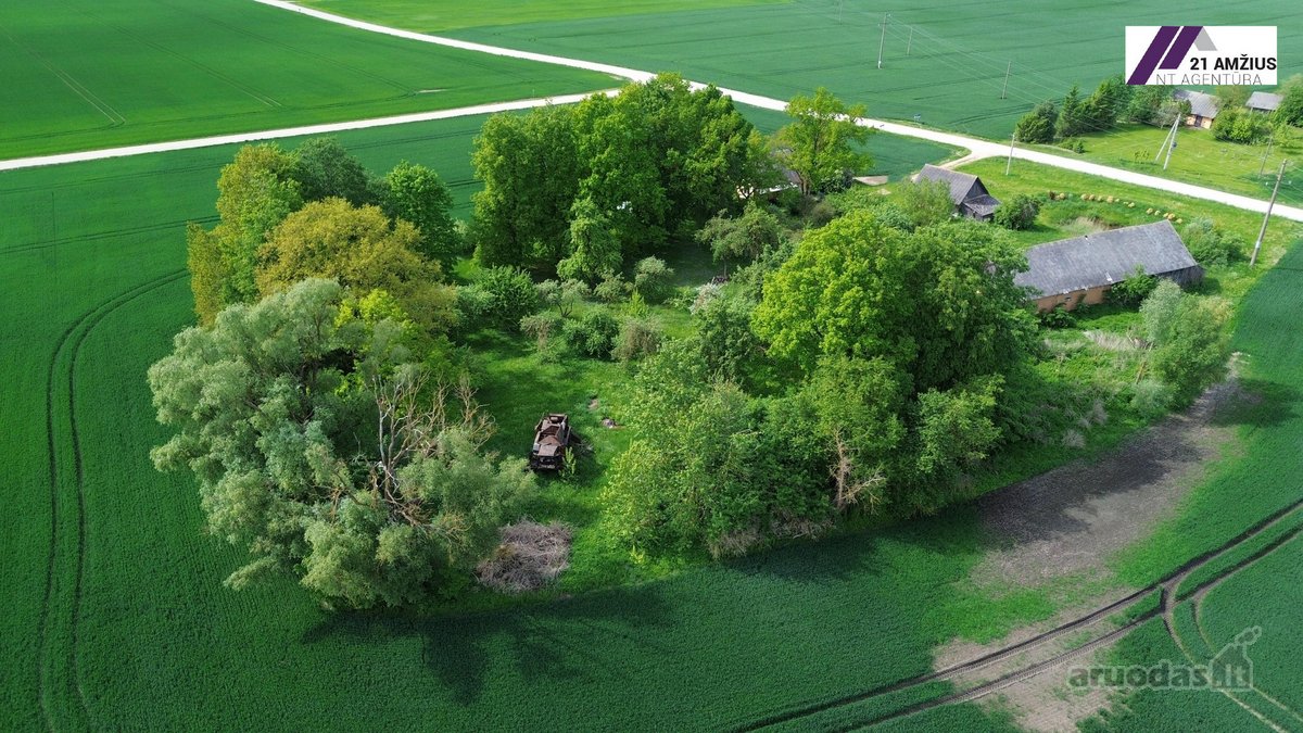 Sodyba su dideliu 0,92 ha sklypu Pasvalio r. - nuotraukos Nr. 3