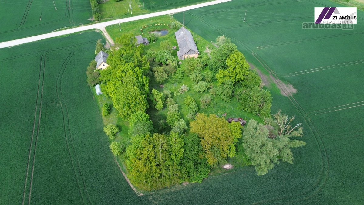 Sodyba su dideliu 0,92 ha sklypu Pasvalio r. - nuotraukos Nr. 4