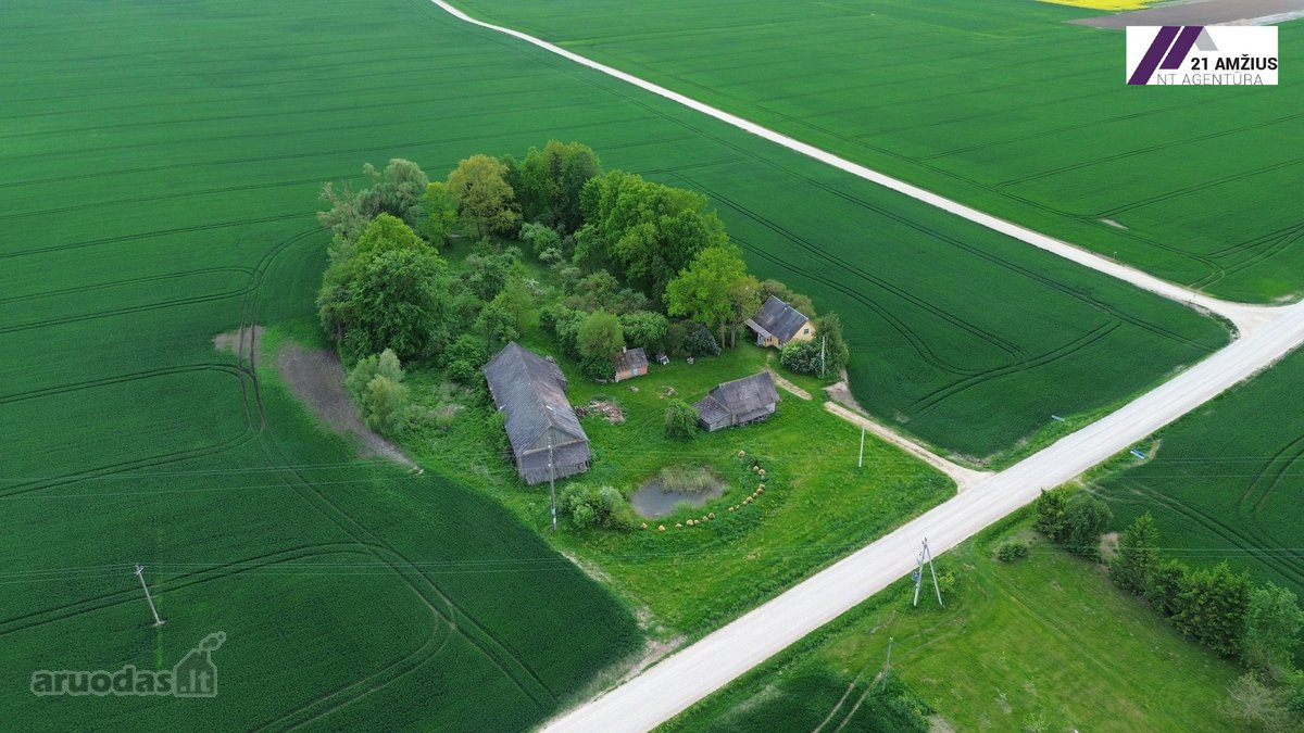 Sodyba su dideliu 0,92 ha sklypu Pasvalio r. - nuotraukos Nr. 6