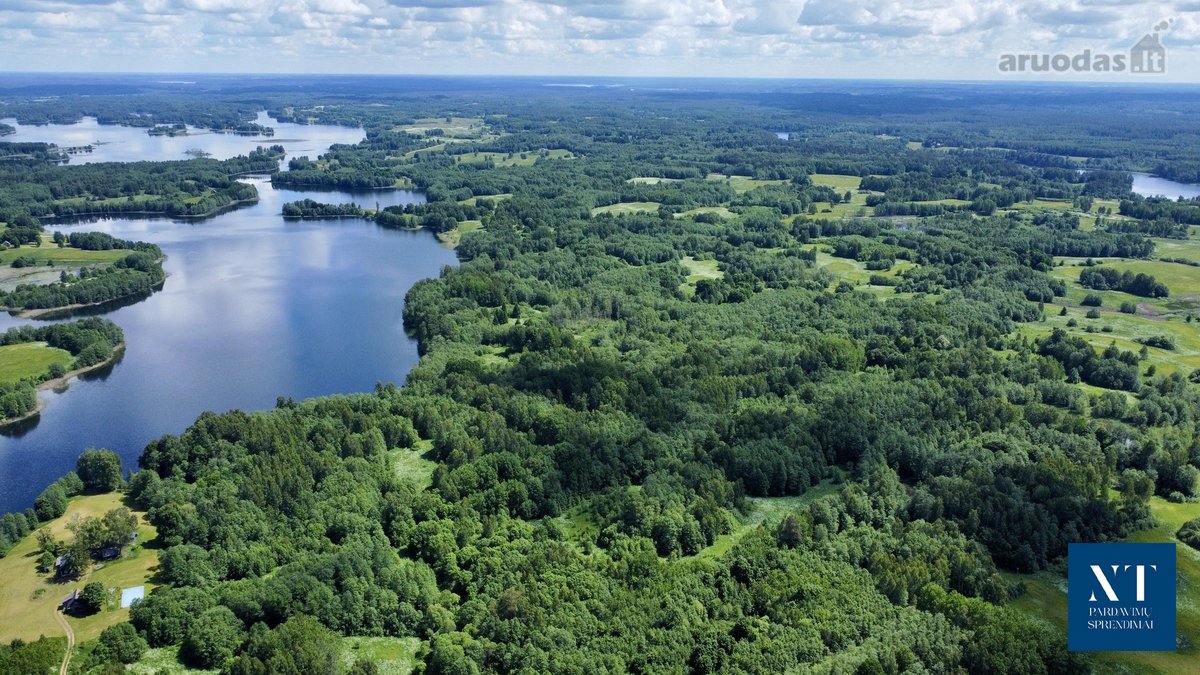 Parduodamas 13.50 ha žemės ūkio paskirties - nuotraukos Nr. 4