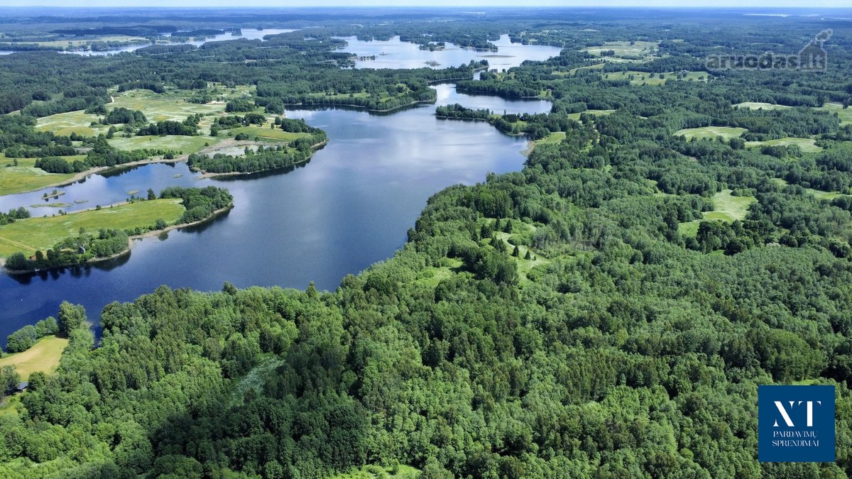 Parduodamas 13.50 ha žemės ūkio paskirties - nuotraukos Nr. 5