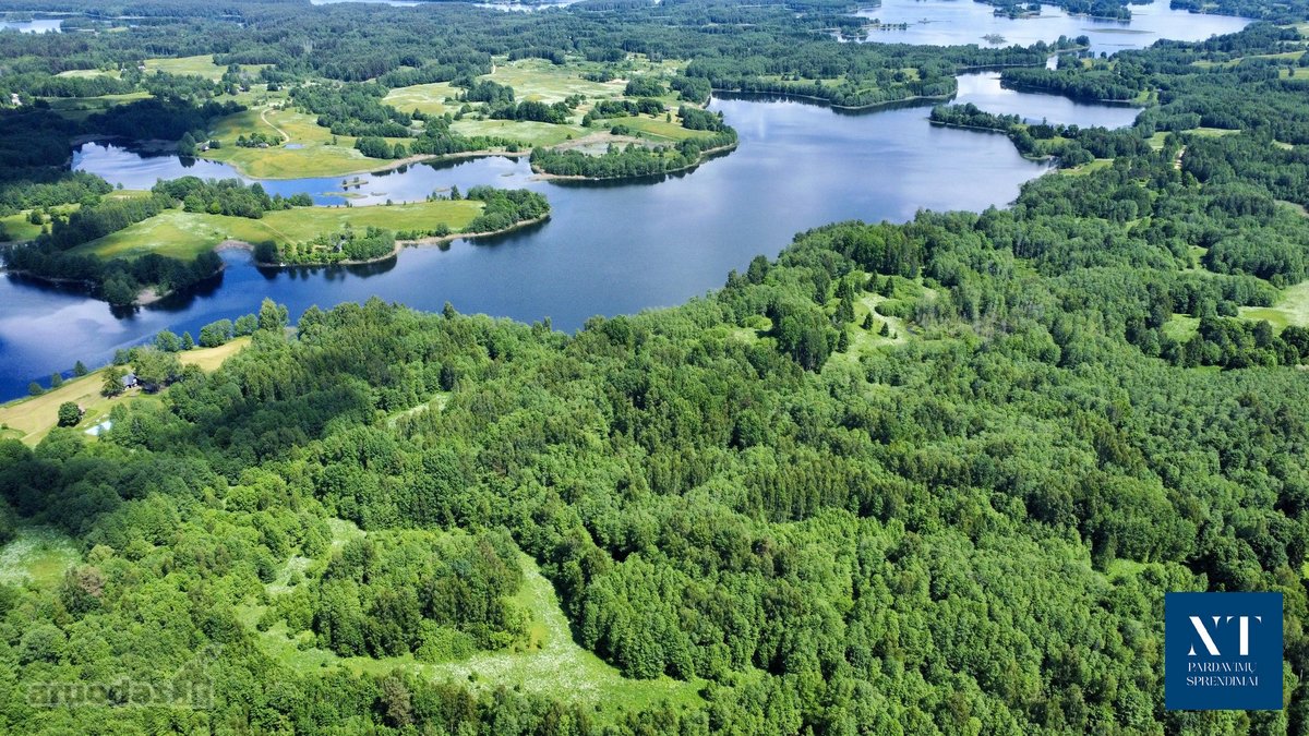 Parduodamas 13.50 ha žemės ūkio paskirties - nuotraukos Nr. 6