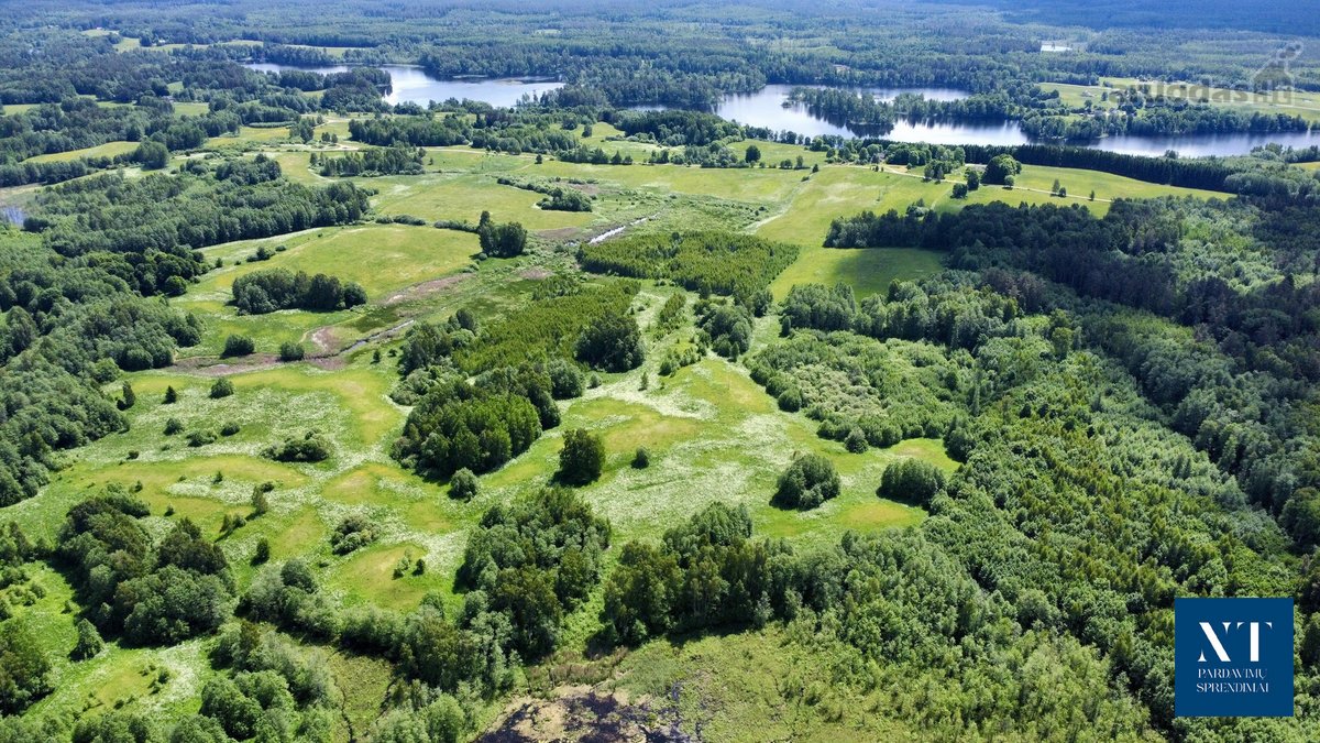 Parduodamas 13.50 ha žemės ūkio paskirties - nuotraukos Nr. 7