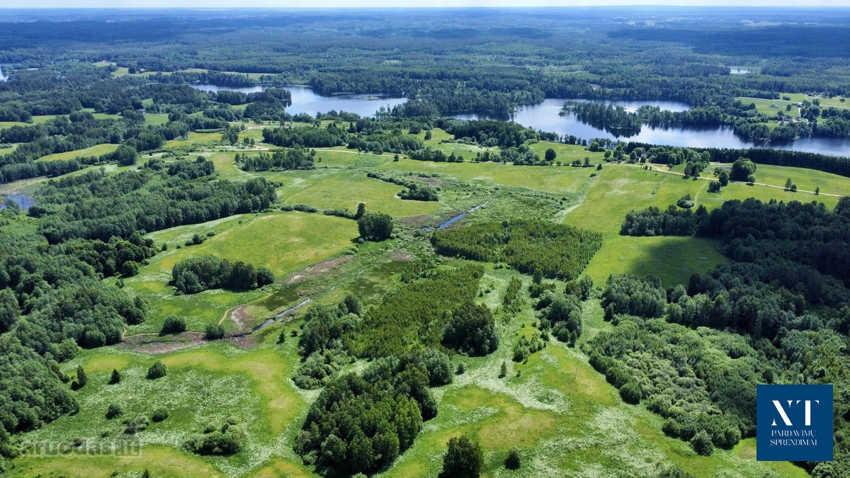 Parduodamas 13.50 ha žemės ūkio paskirties - nuotraukos Nr. 8