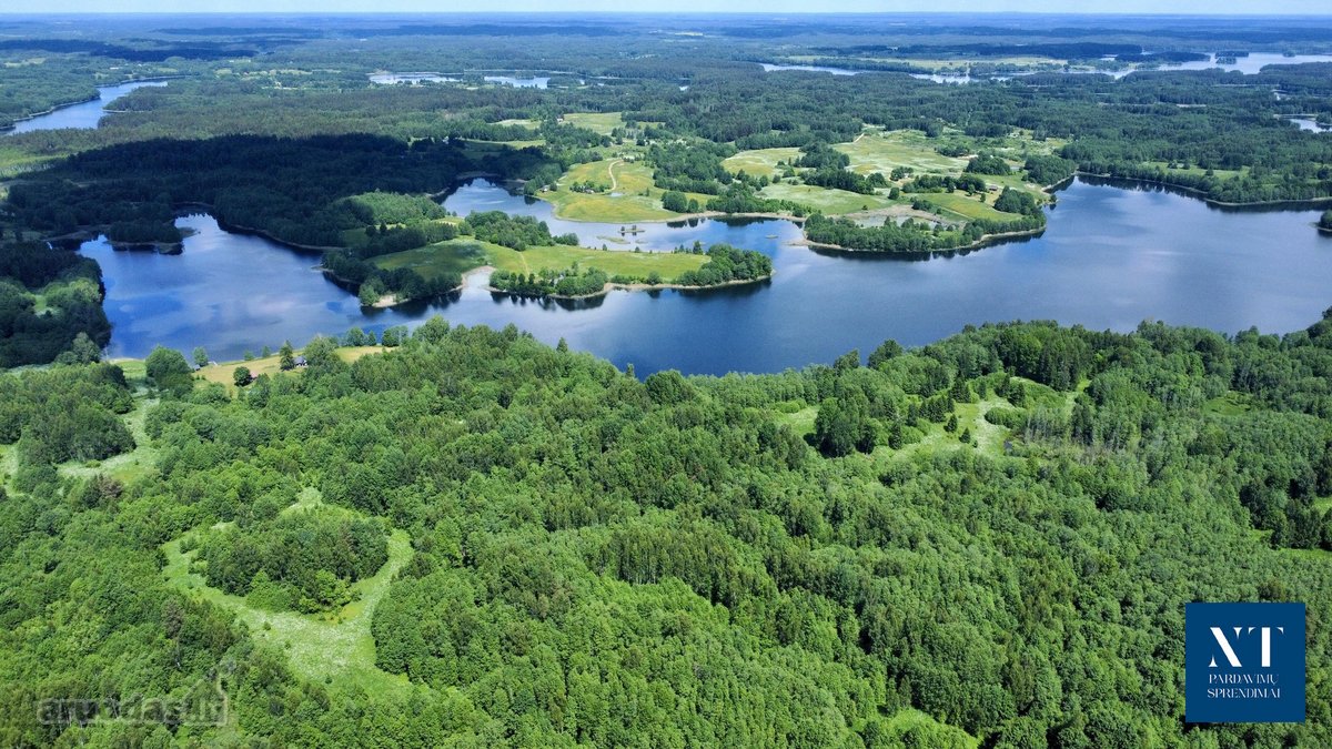 Parduodamas 13.50 ha žemės ūkio paskirties - nuotraukos Nr. 9