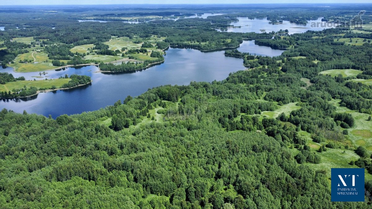 Parduodamas 13.50 ha žemės ūkio paskirties - nuotraukos Nr. 10