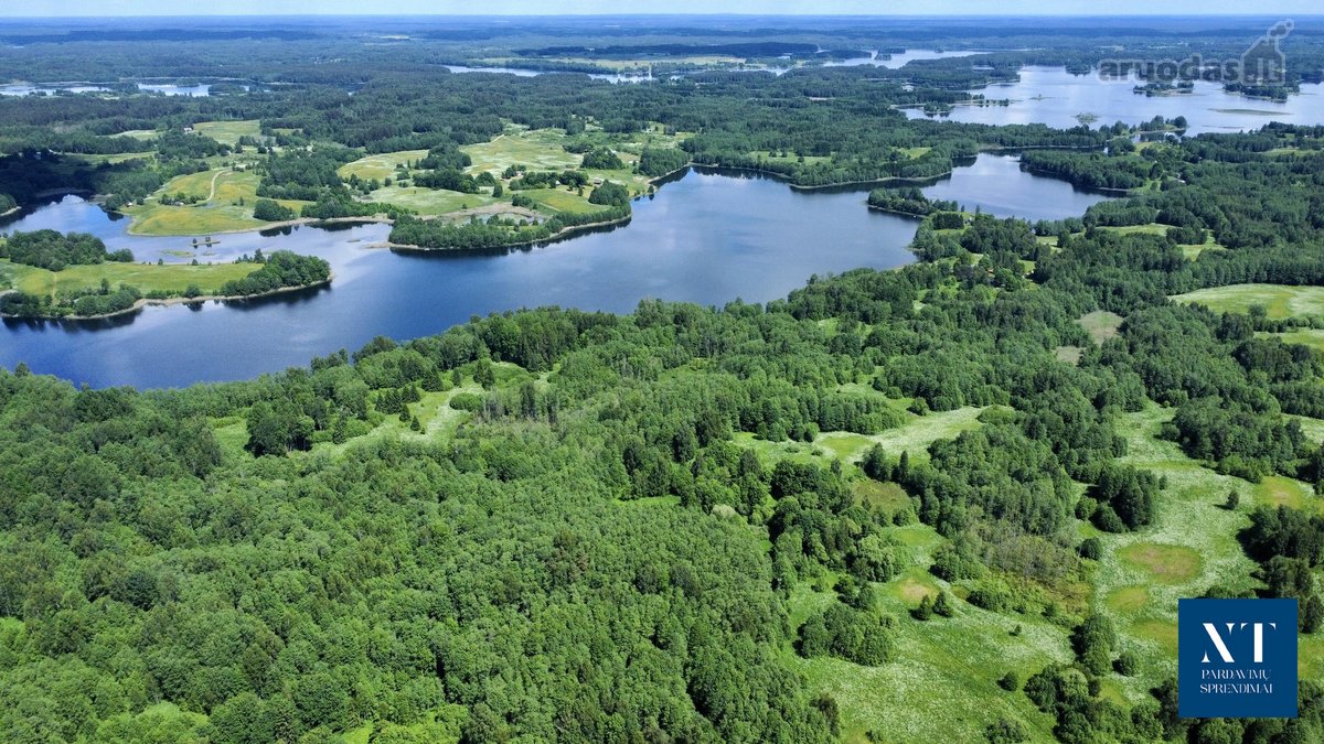 Parduodamas 13.50 ha žemės ūkio paskirties - nuotraukos Nr. 11