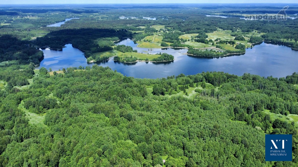 Parduodamas 13.50 ha žemės ūkio paskirties - nuotraukos Nr. 12