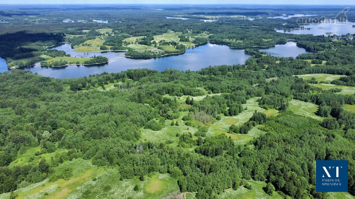 Parduodamas 13.50 ha žemės ūkio paskirties - nuotraukos Nr. 13
