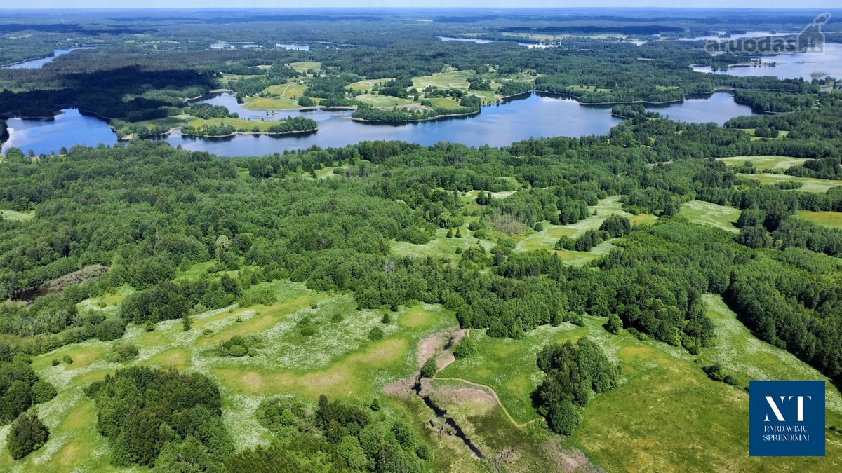 Parduodamas 13.50 ha žemės ūkio paskirties - nuotraukos Nr. 14