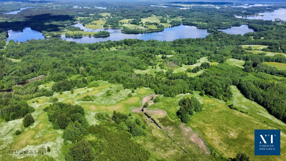 Parduodamas 13.50 ha žemės ūkio paskirties - nuotraukos Nr. 15