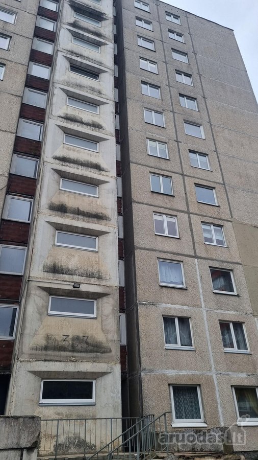 Yra rūsys 9,5 m2 - nuotraukos Nr. 24