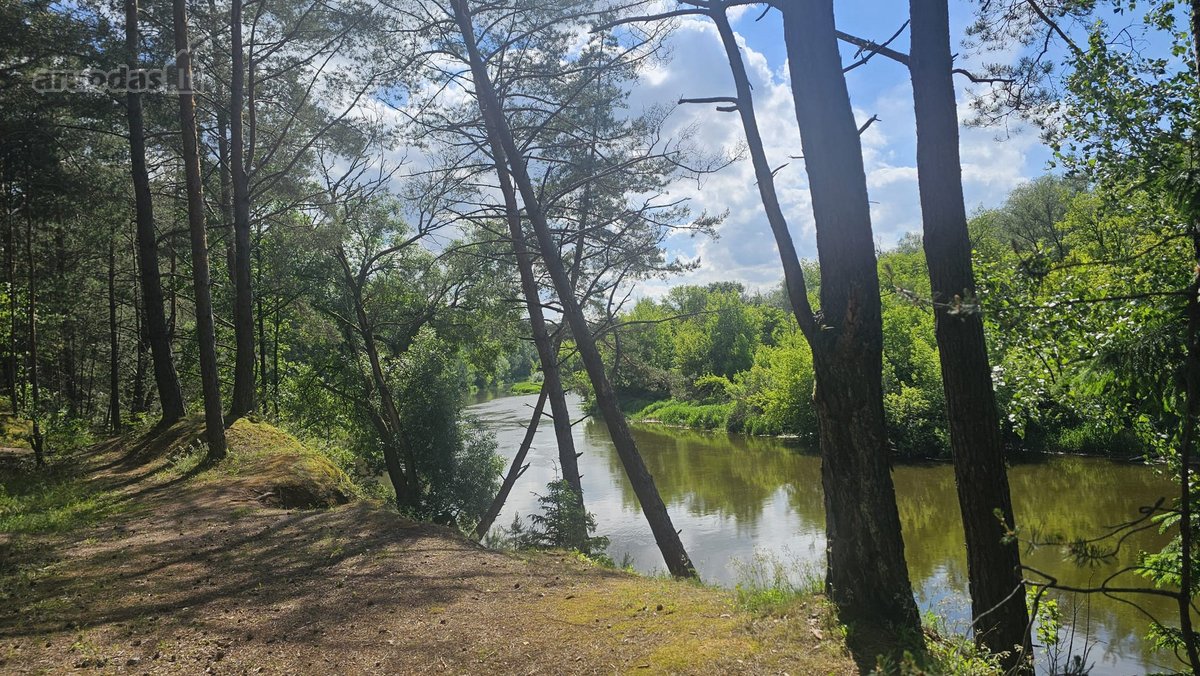 Tarp Neries Upės Ir Zatyšių Karjero,