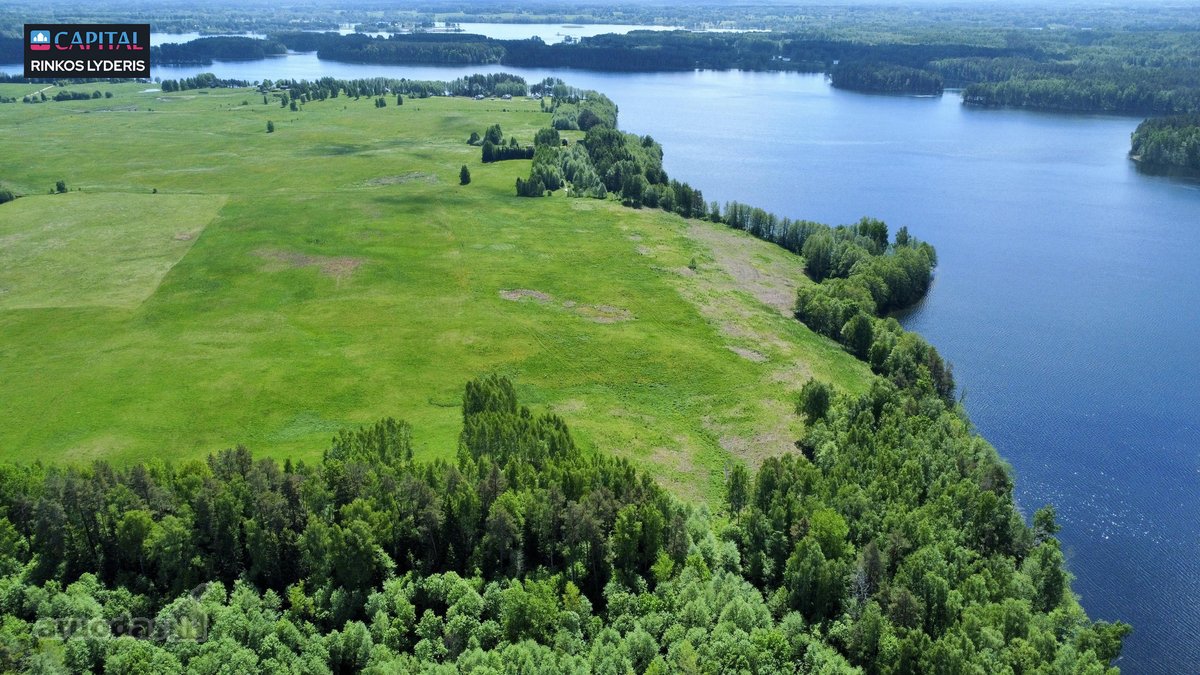 Beveik 10 ha privati valda su 545 metrų - nuotraukos Nr. 11