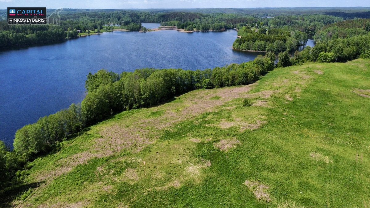 Beveik 10 ha privati valda su 545 metrų - nuotraukos Nr. 15