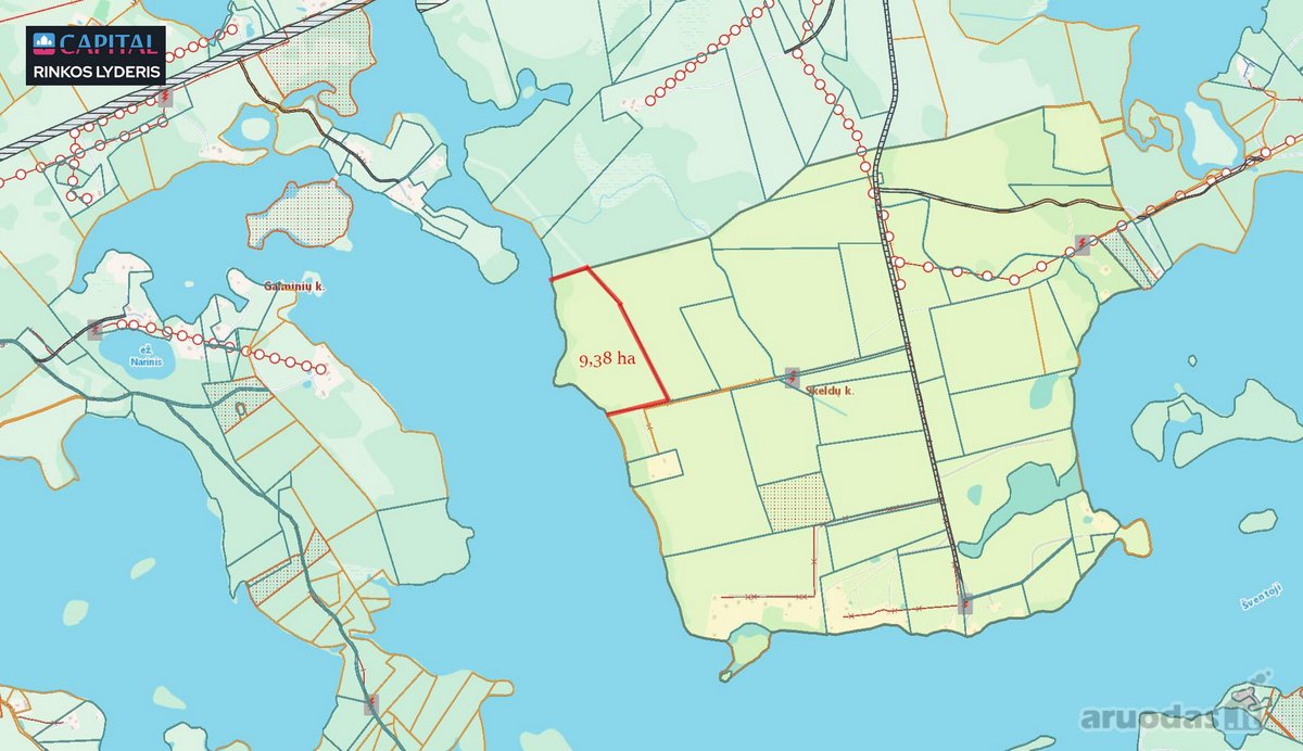 Beveik 10 ha privati valda su 545 metrų - nuotraukos Nr. 8