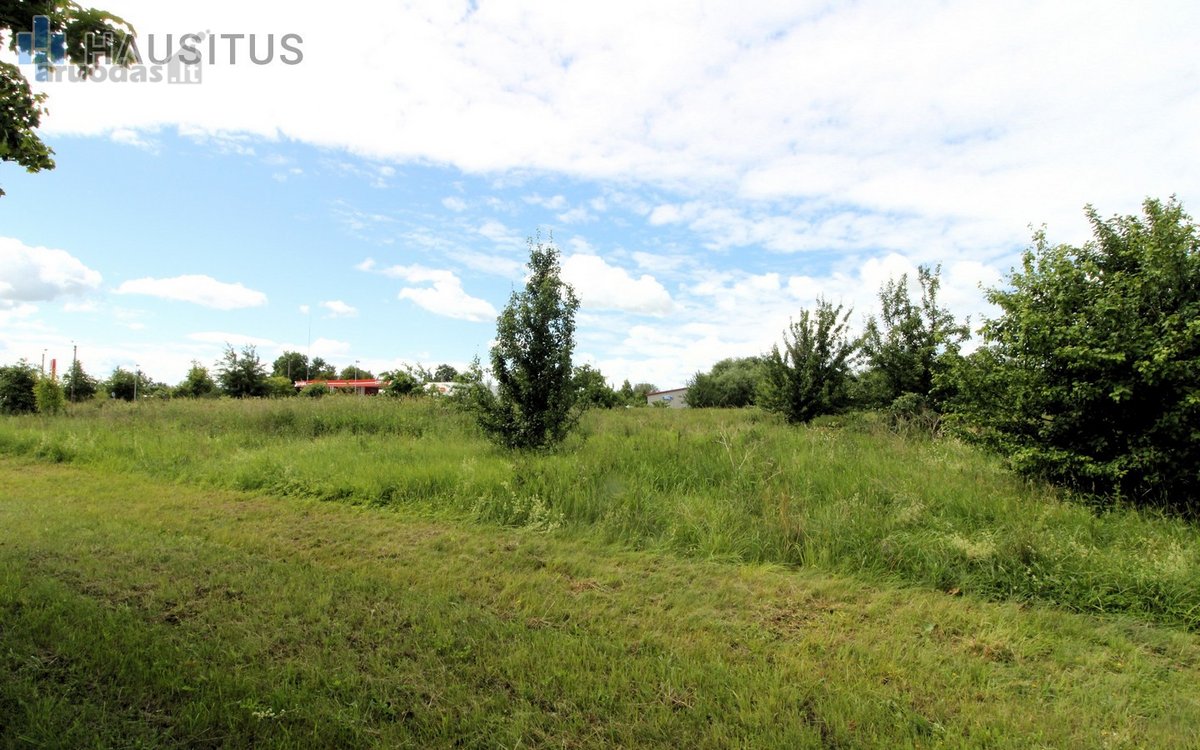 Parduodami Komerciniai Sklypai J. Janonio G., - nuotraukos Nr. 5