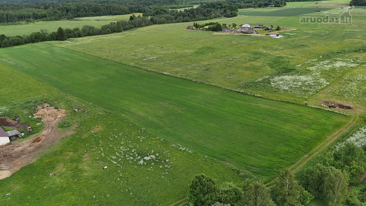 Parduodami Du Besiribojantys Žemės Ūkio - nuotraukos Nr. 3
