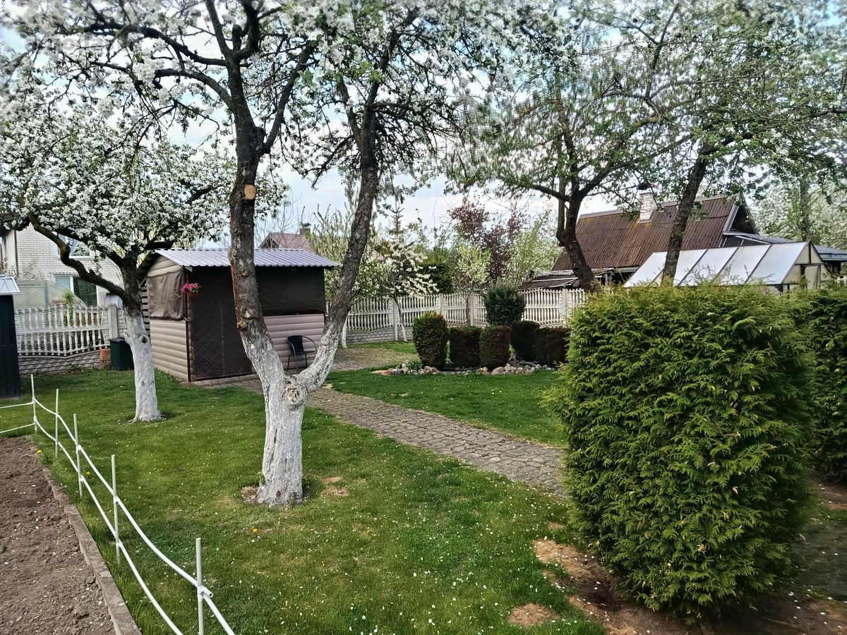 Išskirtinėje vietoje - Karčiupyje, vos keli - nuotraukos Nr. 13