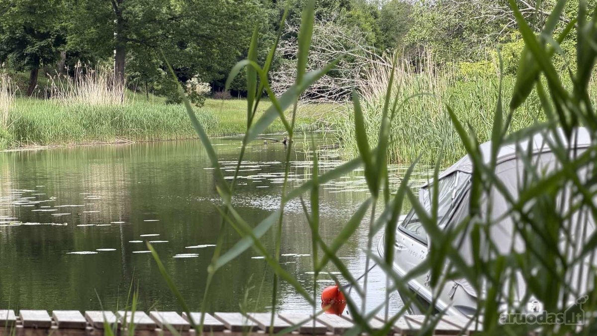 Ramybės Oazė Miesto Širdyje – Namai, Kurie - nuotraukos Nr. 23