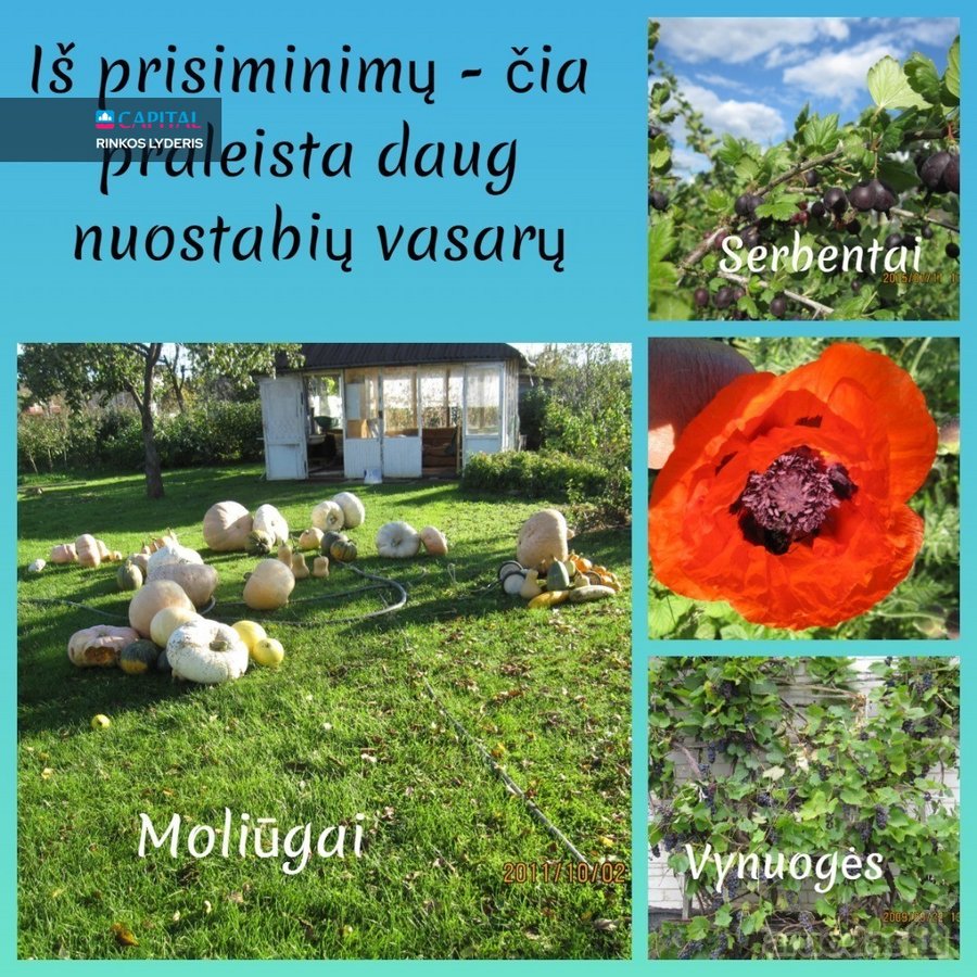 Parduodamas Sodo Namas Prie Tvenkinio Su 12,2 - nuotraukos Nr. 24