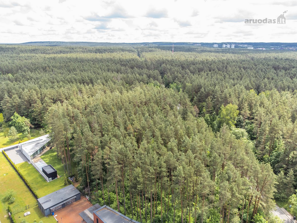 Gražiausioje Turniškių vietoje Neries kilpoje - nuotraukos Nr. 29