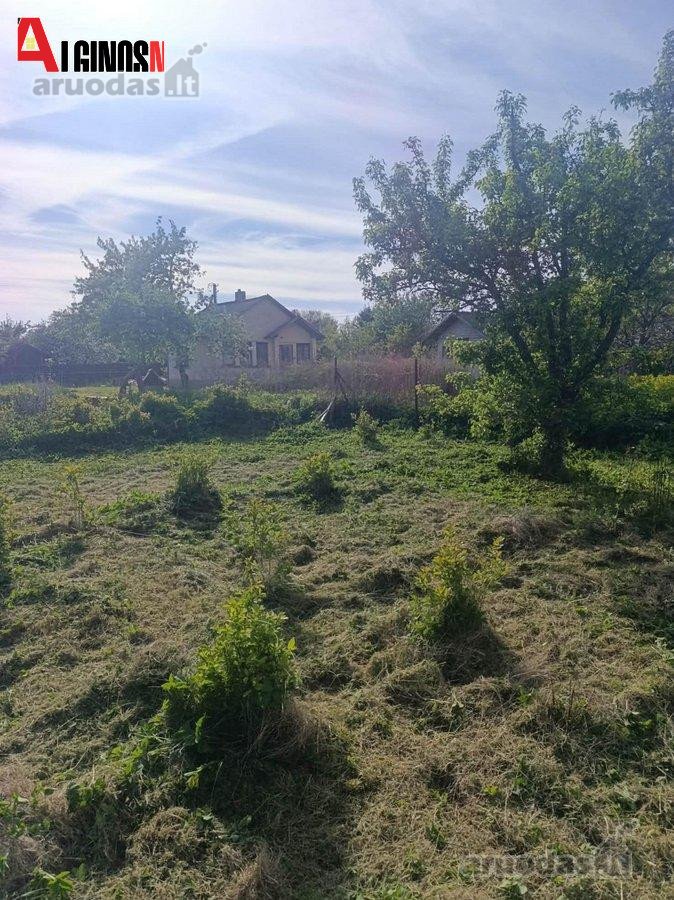 Dercekliuose Molo g. parduodamas 6 arų sodo