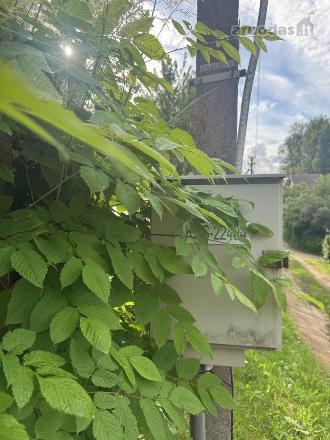 Parduodamas sodo namas su sklypu Alyvų g., - nuotraukos Nr. 24